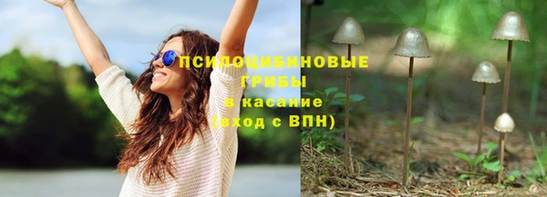 сатива Пролетарск