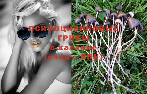 не бодяженный Абаза